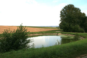 Frankenhöhe Frankenhöhe